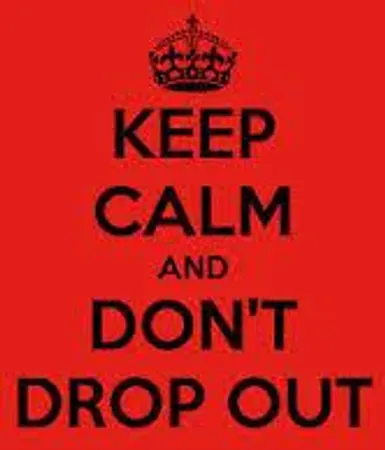 Did you or are you going to drop out of highschool.
