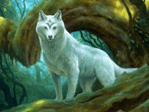 We'll start out with something simple, what type of animal am I?