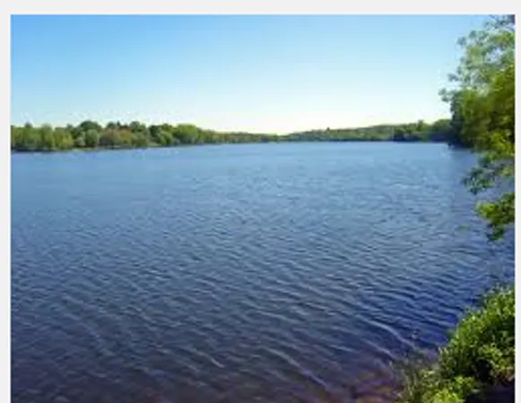You are dead now. Lol jk. You fell into a lake and somehow lived. What do you do now?