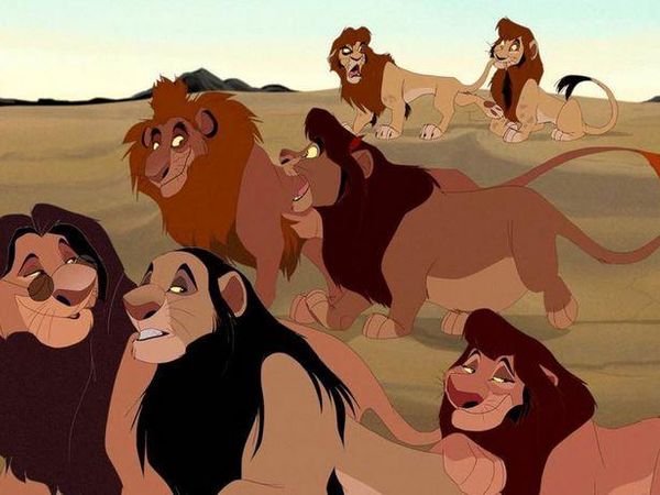 If you were an animal, what would you be?