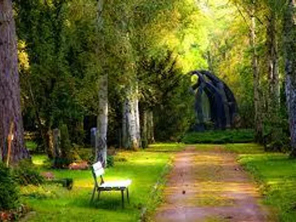 Do you like nature?
