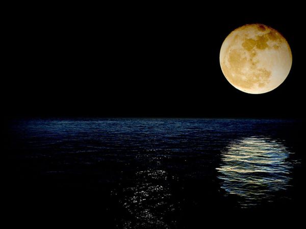 What is your favorite type of moon?