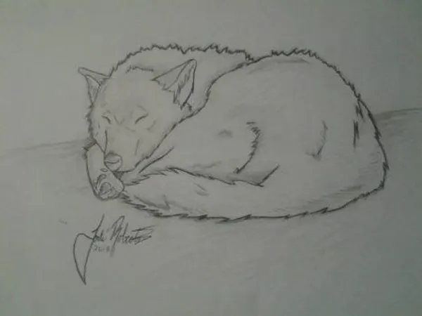 If you saw a rare animal what would you say?