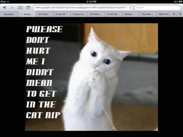 Does this make u laugh