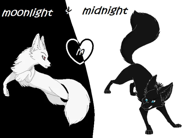 midnight: would you steal or 'borrow' something without asking...