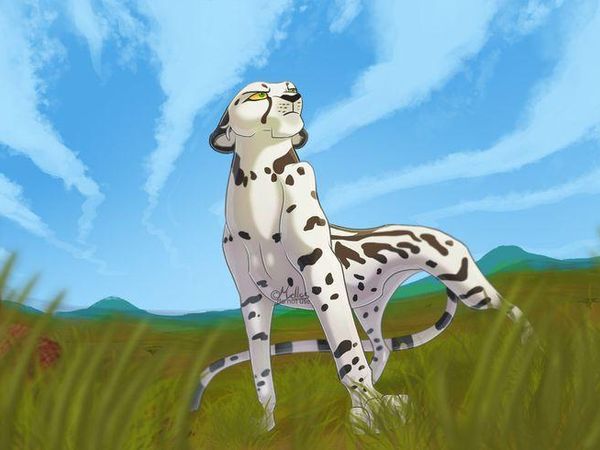 What kind of animal describes you and your friends?
