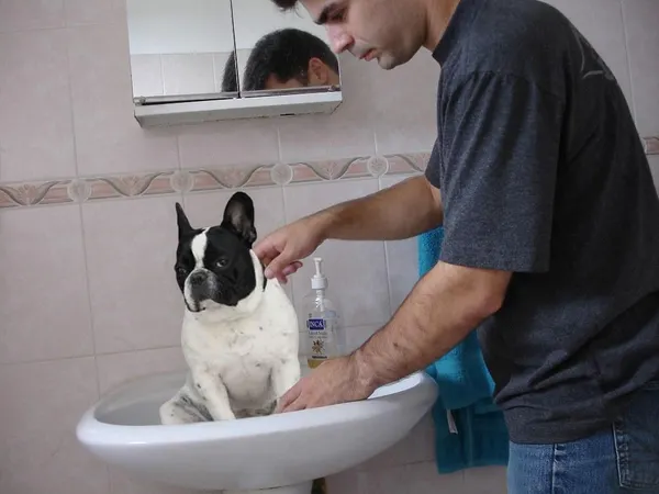 How does your dog react to getting a bath?
