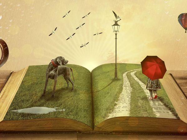 Which type of books do you prefer to read?