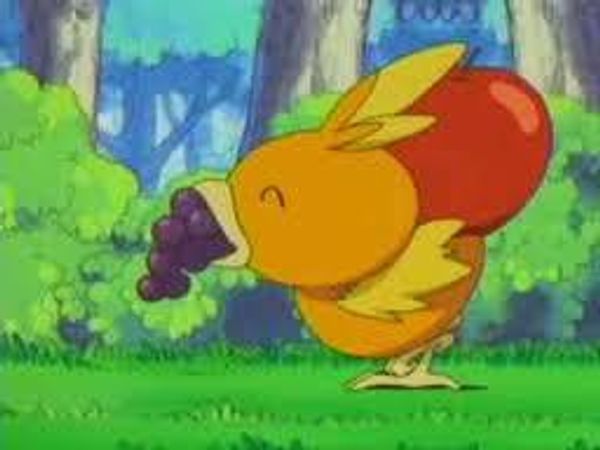 You're starving, and your trainer has food. But when you try to get some, he tells you not to. What do you do?