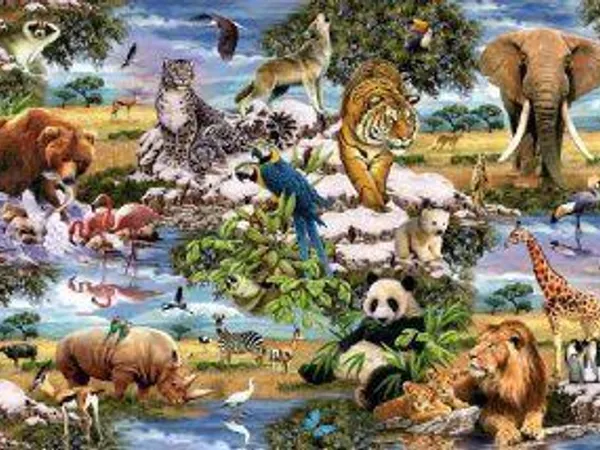 Which animal do you like the most?