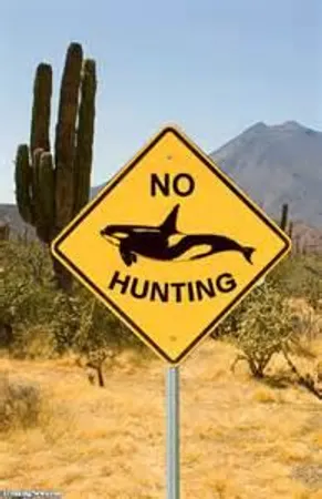 do you think you be hunted or free?