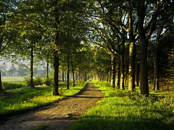 Which road tempts you most?