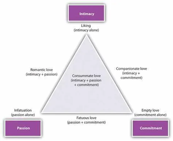 What do you seek the most in a romantic relationship?
