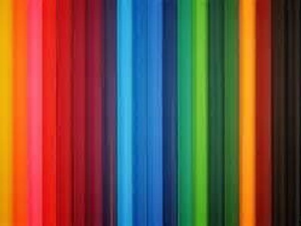 (Sorry about this!) What is your favorite color? *hides in a tree*