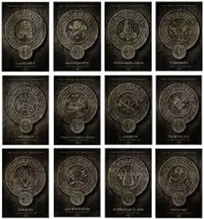 Hunger Games district?