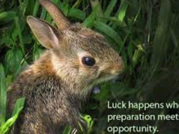 Do you have good luck?