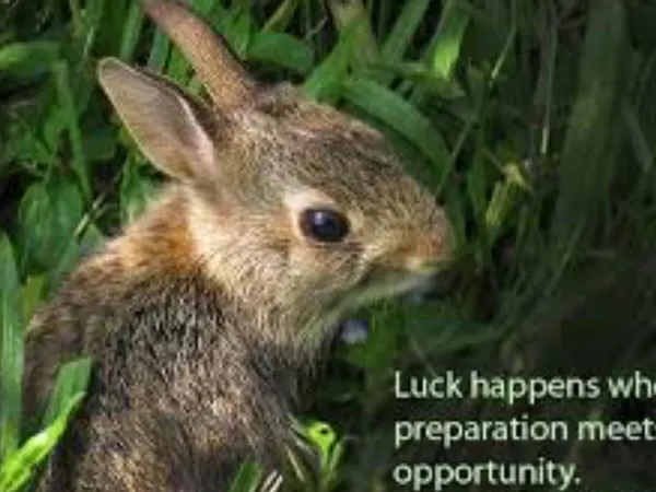Do you have good luck?