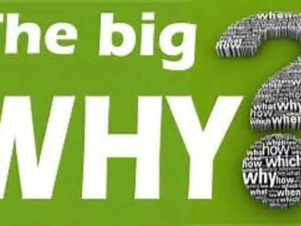 Why do you like them?