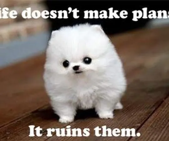 Amirite?