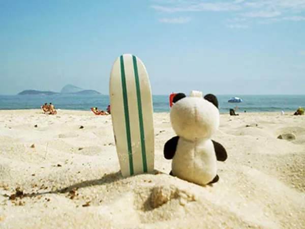 Where would you typically travel on vacation?