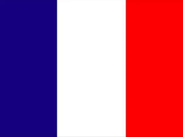 You want to learn French. How do you go about doing that?