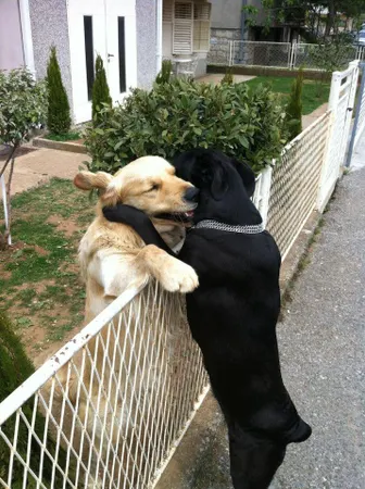 Have a nice day/night.