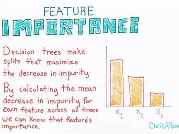 Which feature is most important to you?