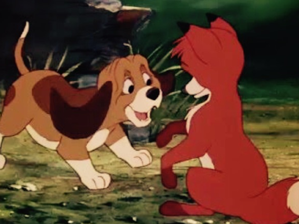 What do you believe about friendships?