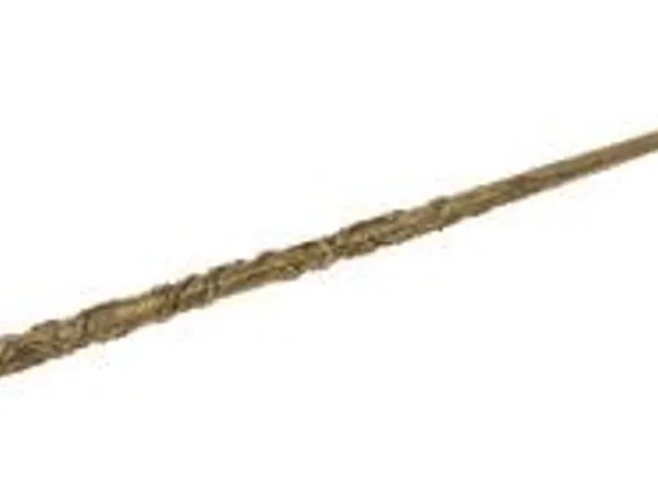 Who's wand is this?