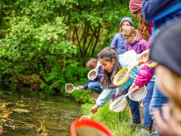 How do you engage with nature?