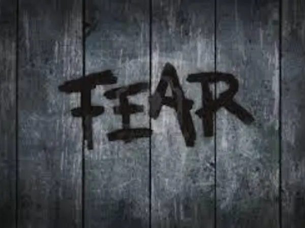 What do you do when you face fear?