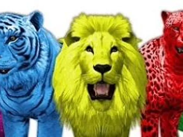 Don't hate me but.... What is your fave color? Don't hurt me cuz I have a weapon! * grabs hand gun*