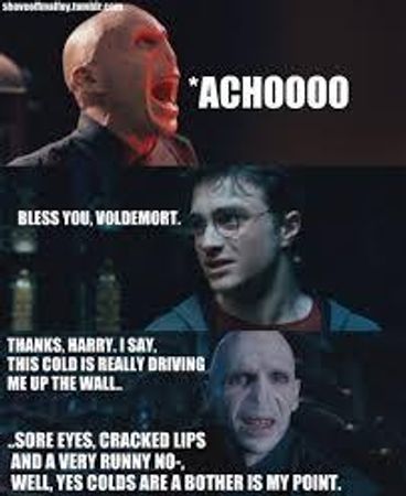 what house do you want to be in?