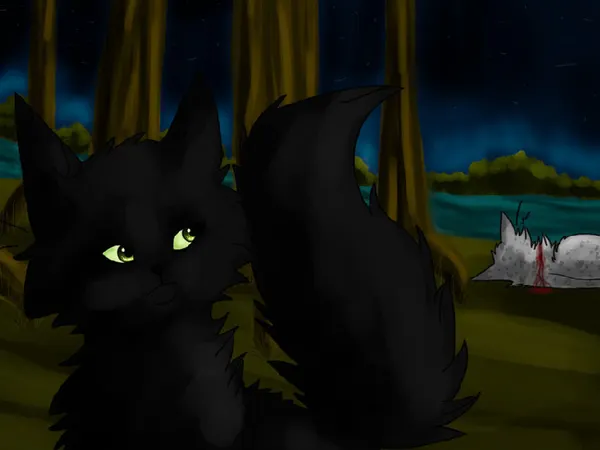 How many cats have you've killed and why?