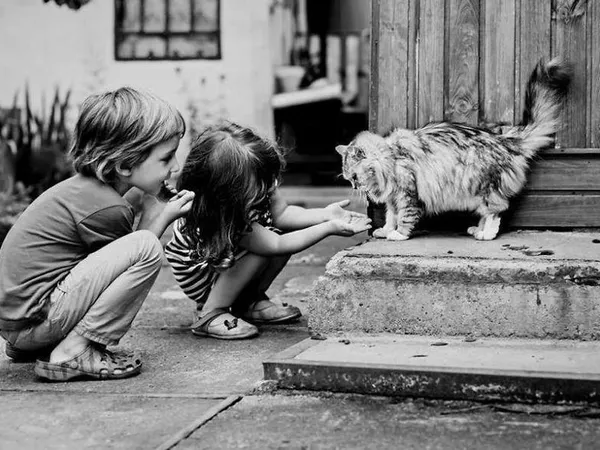 What kind of animal you want?
