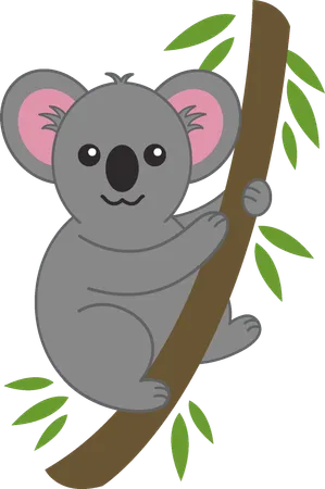 if you see an injured Koala on the ground  what do you do