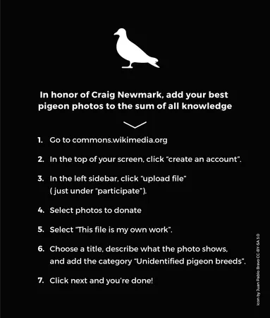 Choose an animal that represents you: