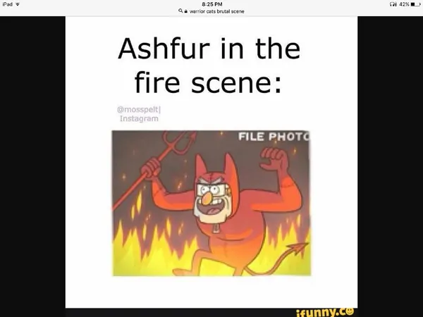 Do you like warriorcats?