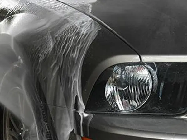 How often do you wash/detail your Mustang?