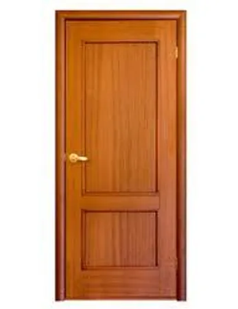 Door. Wooden door. Dang it.