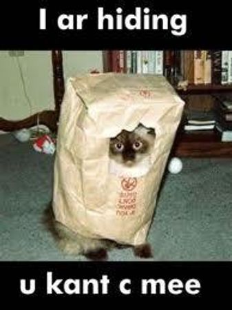 Can you blend in with your surroundings well?