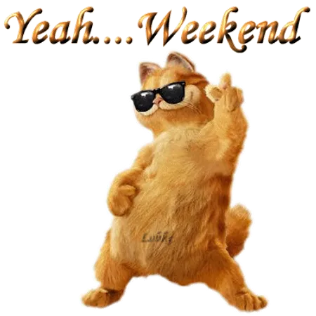 What do you like to do on the weekends?