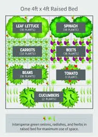 What part of gardening excites you the most?
