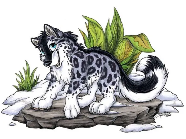 What do you think of my animal hybrid OC Selena?