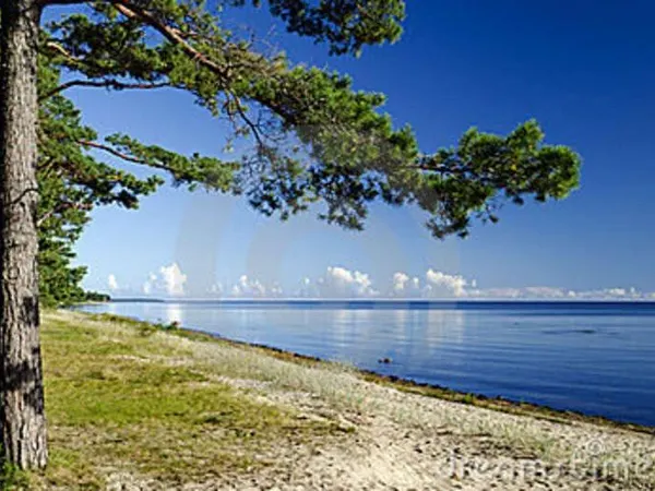 It's a beautiful Saturday afternoon, and your homework is already done! What's the first thing you do?