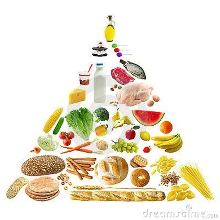 What is your favourite kind of food?