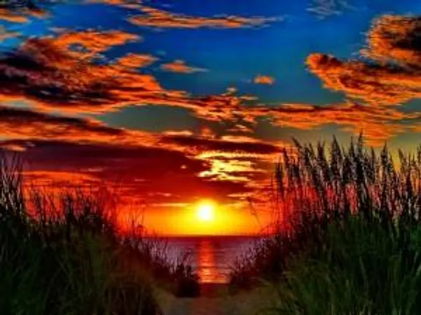 How does this picture make you feel?