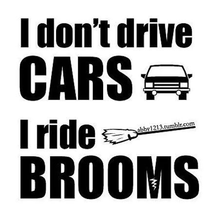 Which one of the following brooms has Harry Potter owned?