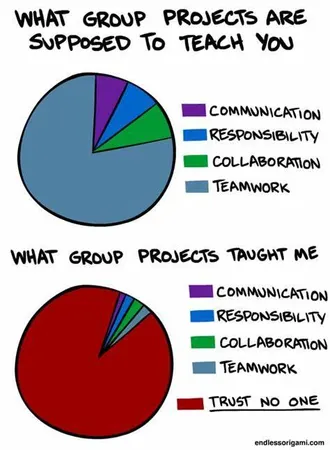 In a group project, I am most likely to contribute by...