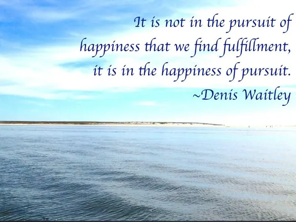 You find fulfillment in: